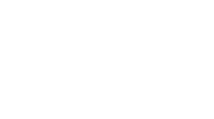 Radlogistik Verband Deutschland e.V.